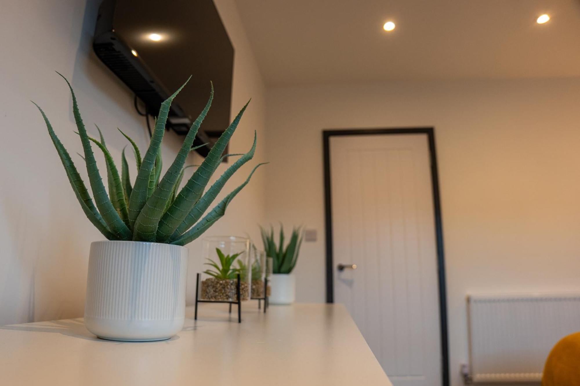 אילקסטון High End Apartment - Perfect For Contractors & Builders - Free Parking מראה חיצוני תמונה