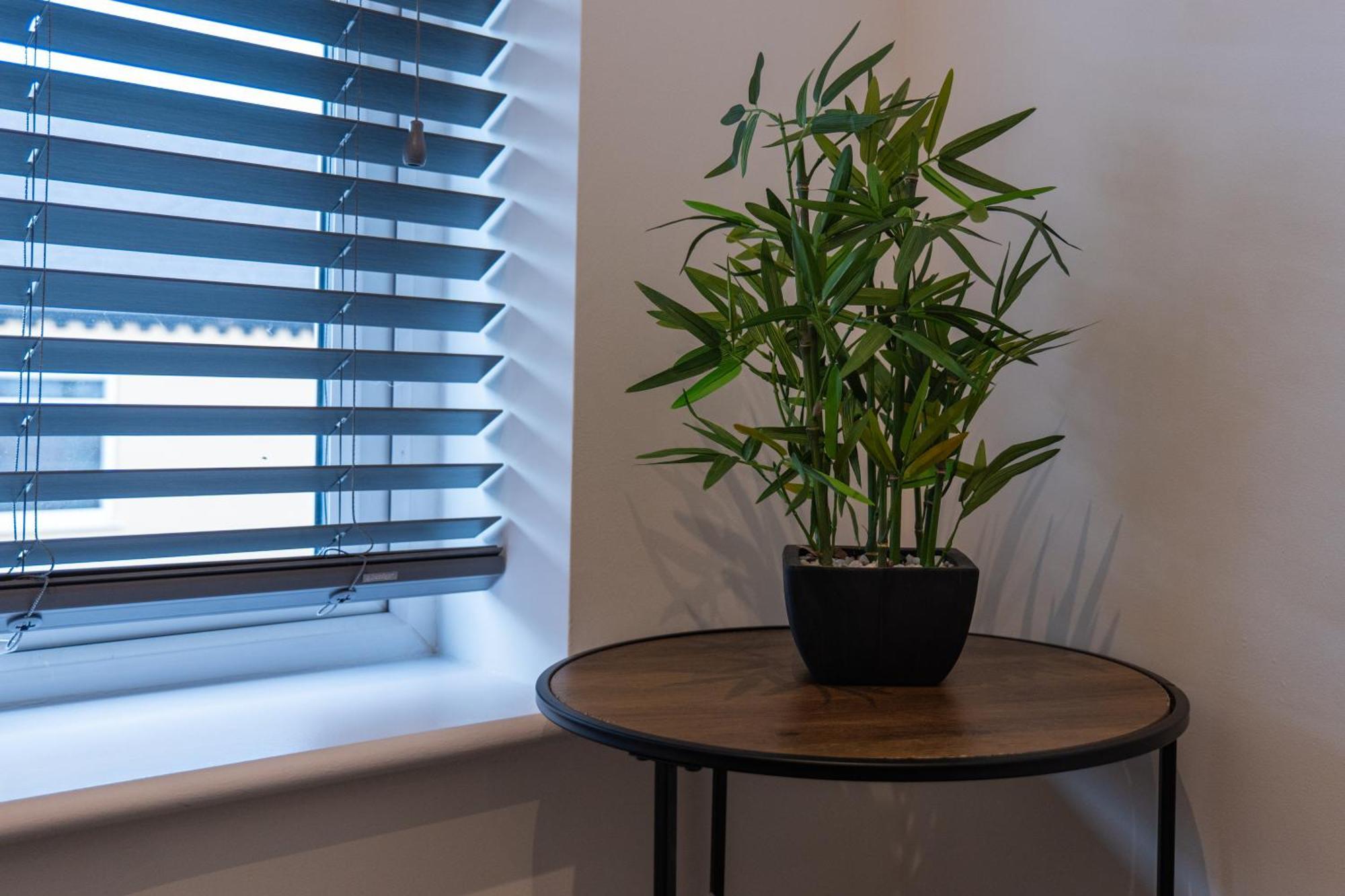 אילקסטון High End Apartment - Perfect For Contractors & Builders - Free Parking מראה חיצוני תמונה